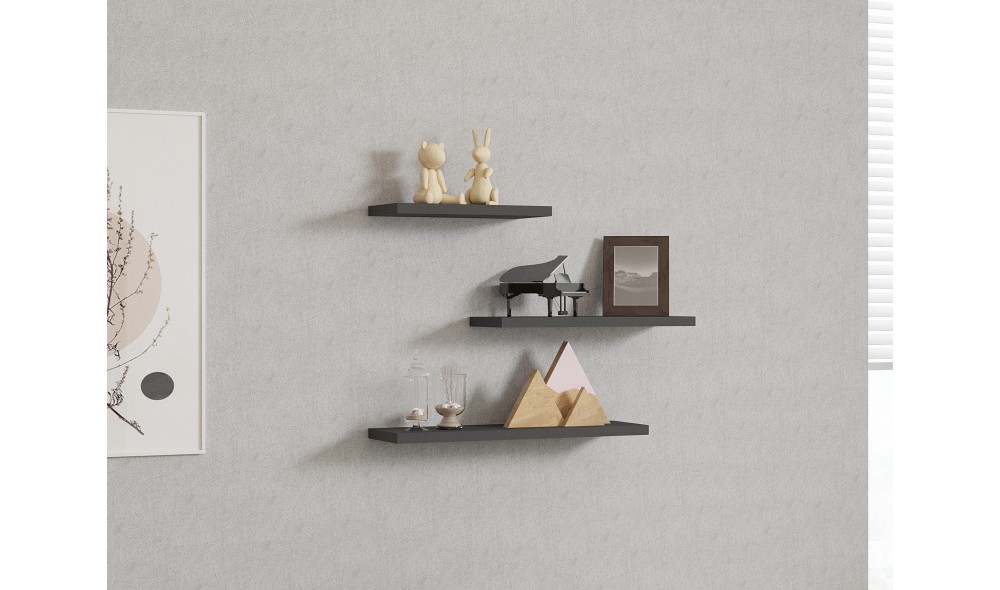 Raft de perete, Leila, Antracit, 50 x 14 x 2 cm