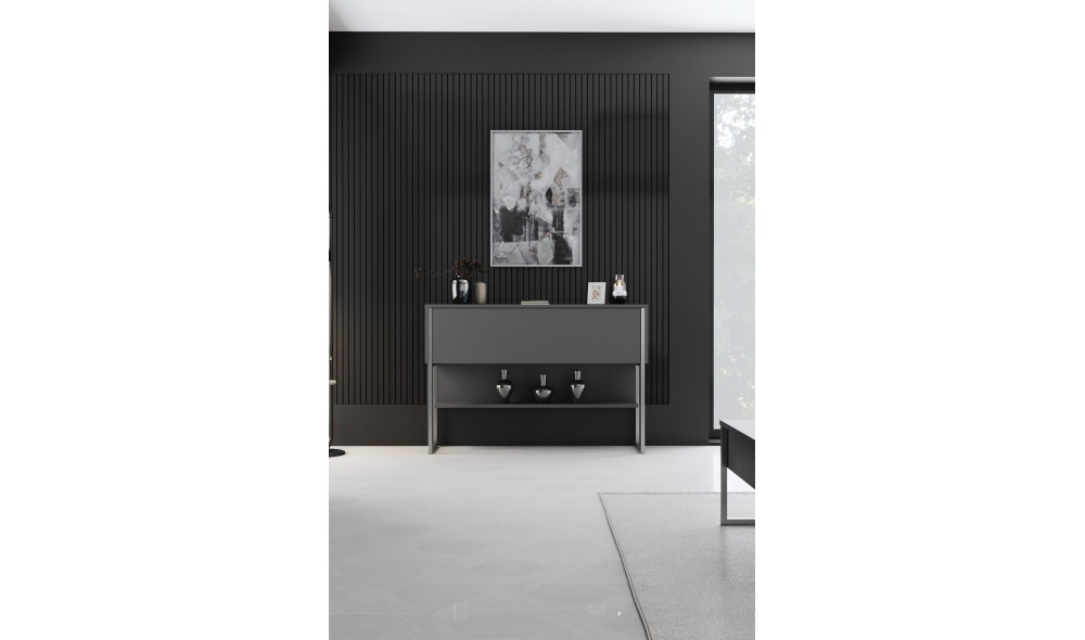 Comoda, Luxe, ArgintAntracit, 120 x 80 x 30 cm