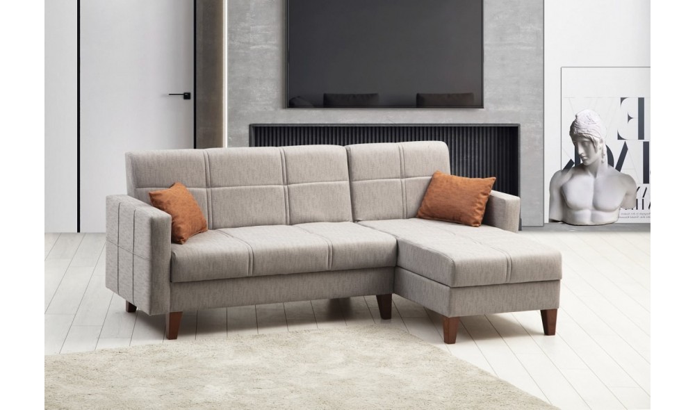 Canapea extensibila de colt, Polya - Gri deschis, 216 x 86 x 130 cm