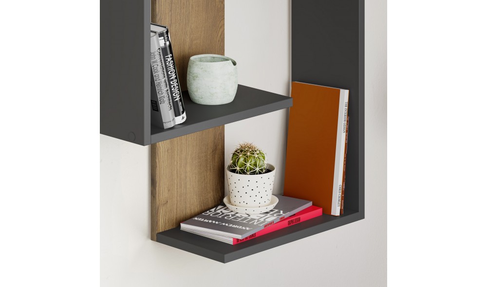 Raft de perete Paranoid - antracit, stejar inchis 64 x 85 x 22 cm