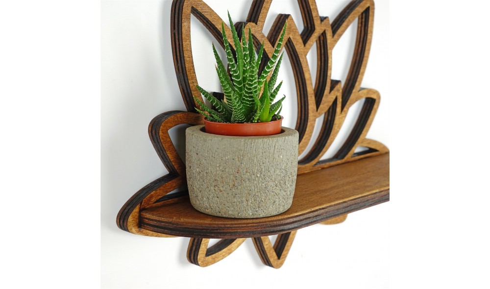 Raft de perete, Raf264, Nuc, 33 x 26 x 10 cm