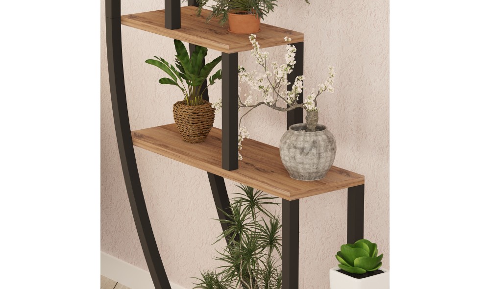 Raft pentru carti, Garden, Pinul AtlanticNegru, 85 x 180 x 35 cm