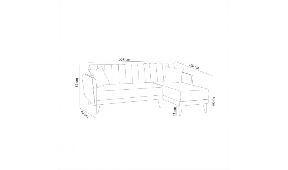 Canapea extensibila de colt, Aqua Coner Dreapta - Gri inchis, 225 x 85 x 150 cm