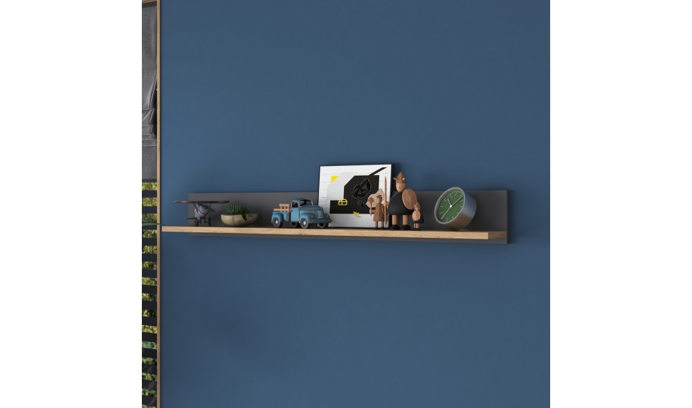 Raft de perete AE102 - 2637