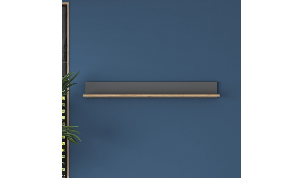 Raft de perete AE102 - 2637