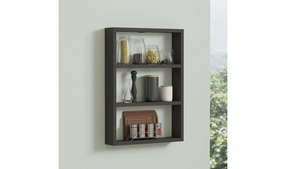 Raft de perete PR1-AN 43 x 60 x 9 cm