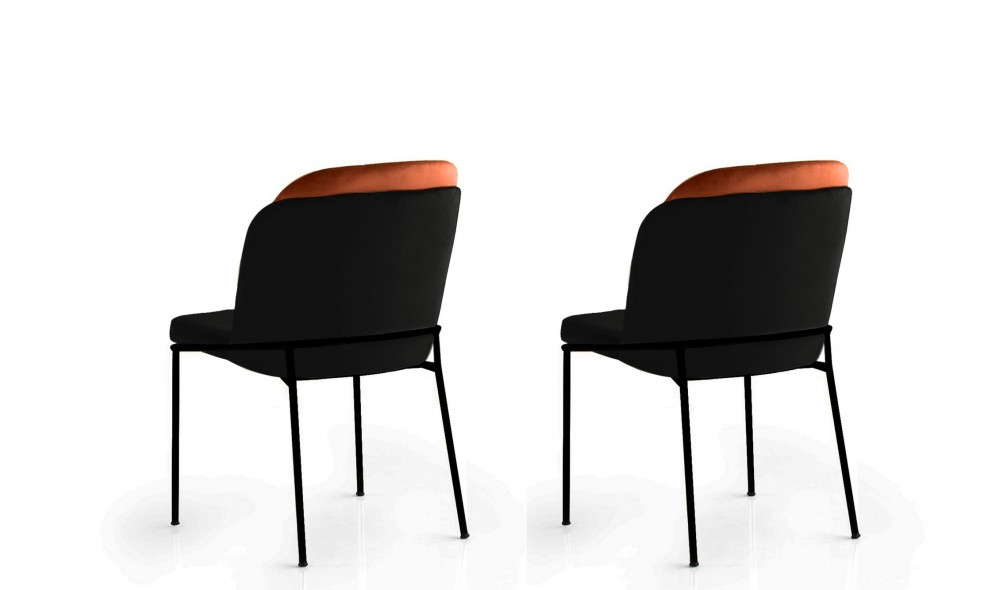 Set scaune (2 bucati) DR - 147 V2